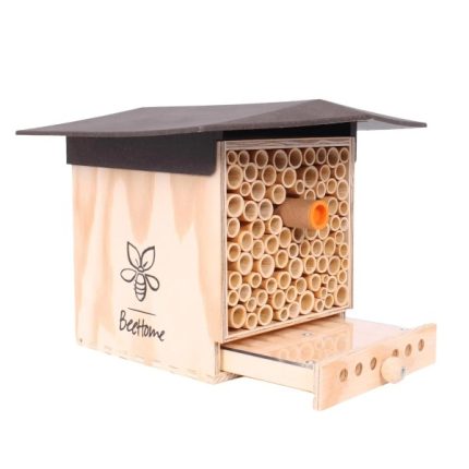 BeeHome-Observer-dunkel